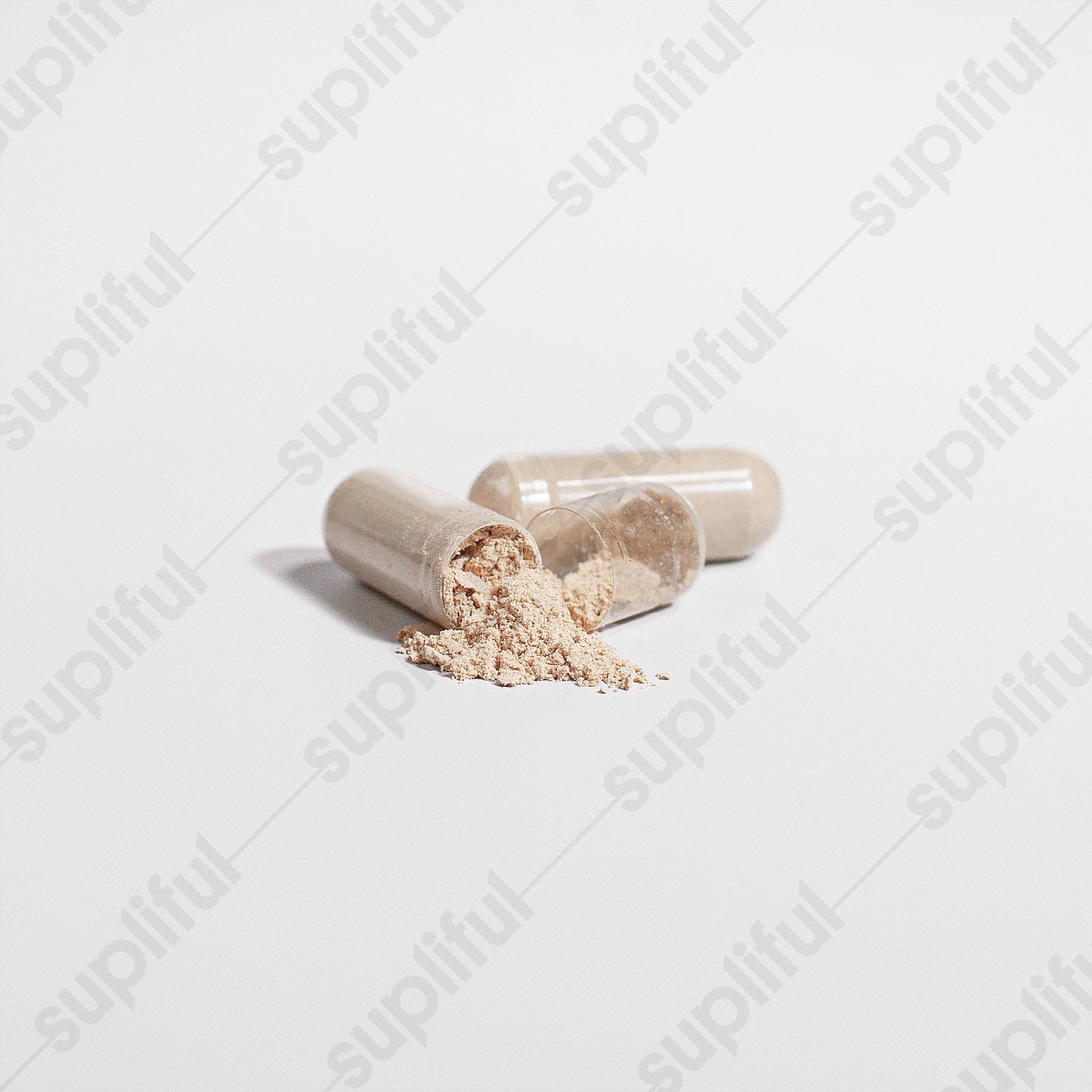 TFF Cordyceps Mushroom